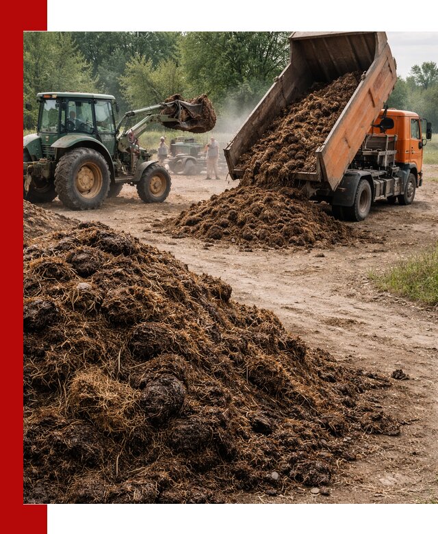 Доставка навоза самосвалами в Пыти-Яхах для сельхозпотребностей